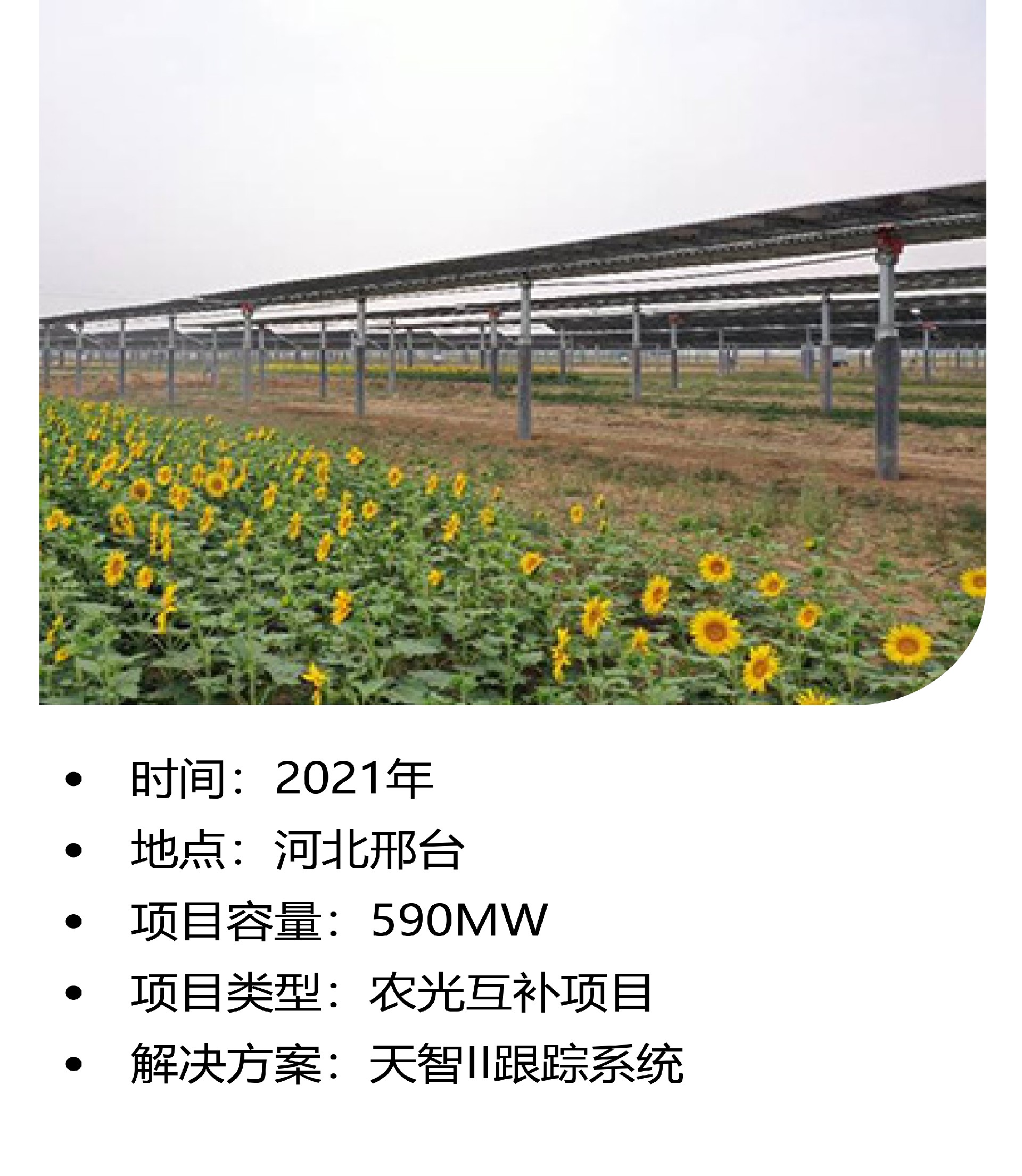 光伏項(xiàng)目案例 (8).jpg